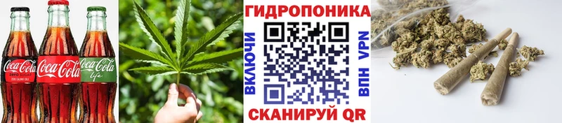 Canna-Cookies марихуана  Дудинка 