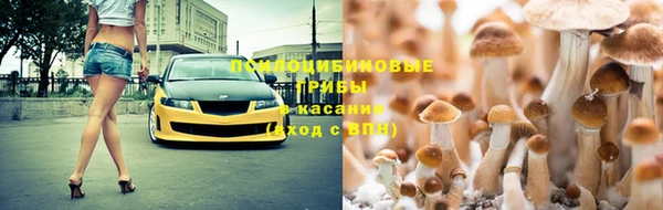 винт Горняк