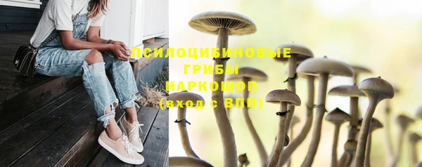 синтетический гашиш Горно-Алтайск