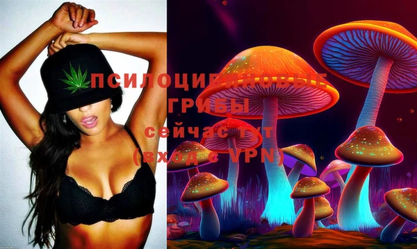 mix Горнозаводск