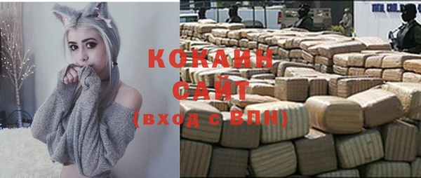 винт Горняк