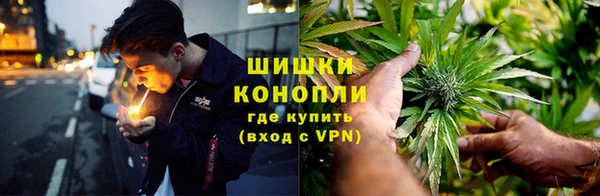 мдпв Волосово